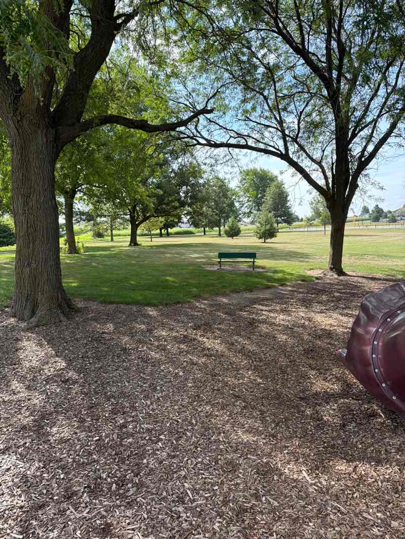 walking near me in Northeast Park in summer
