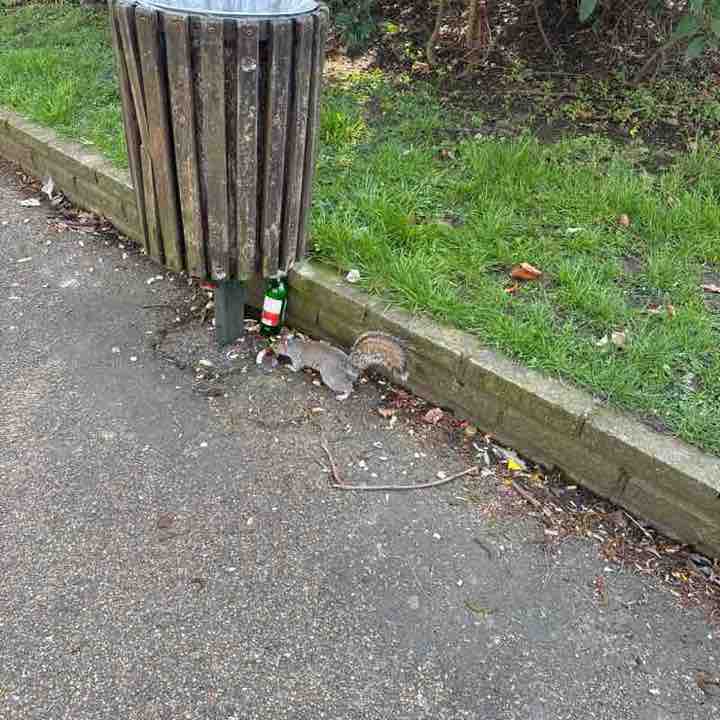 Khurshid Khan post 2