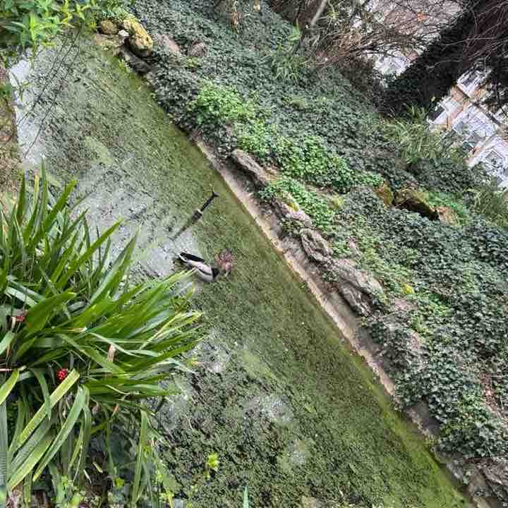 Khurshid Khan post 3