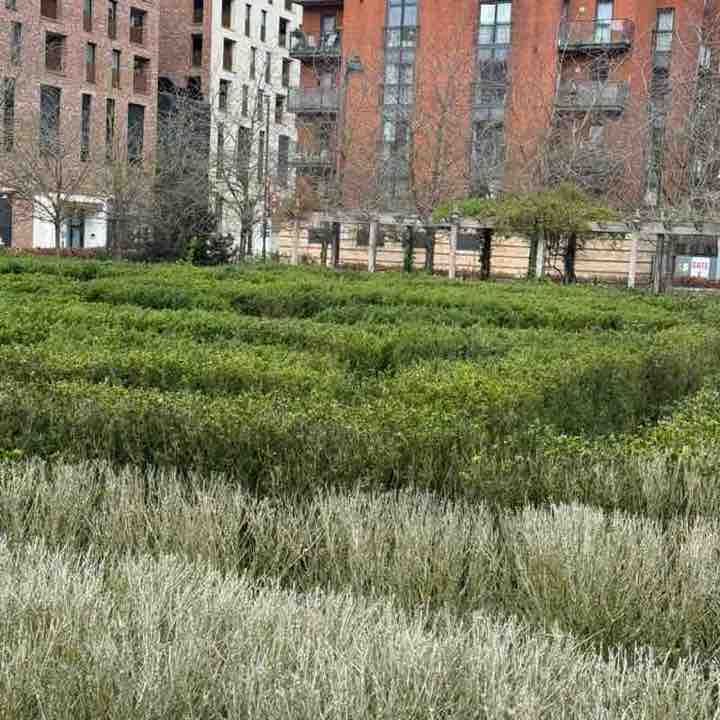 Khurshid Khan post 2