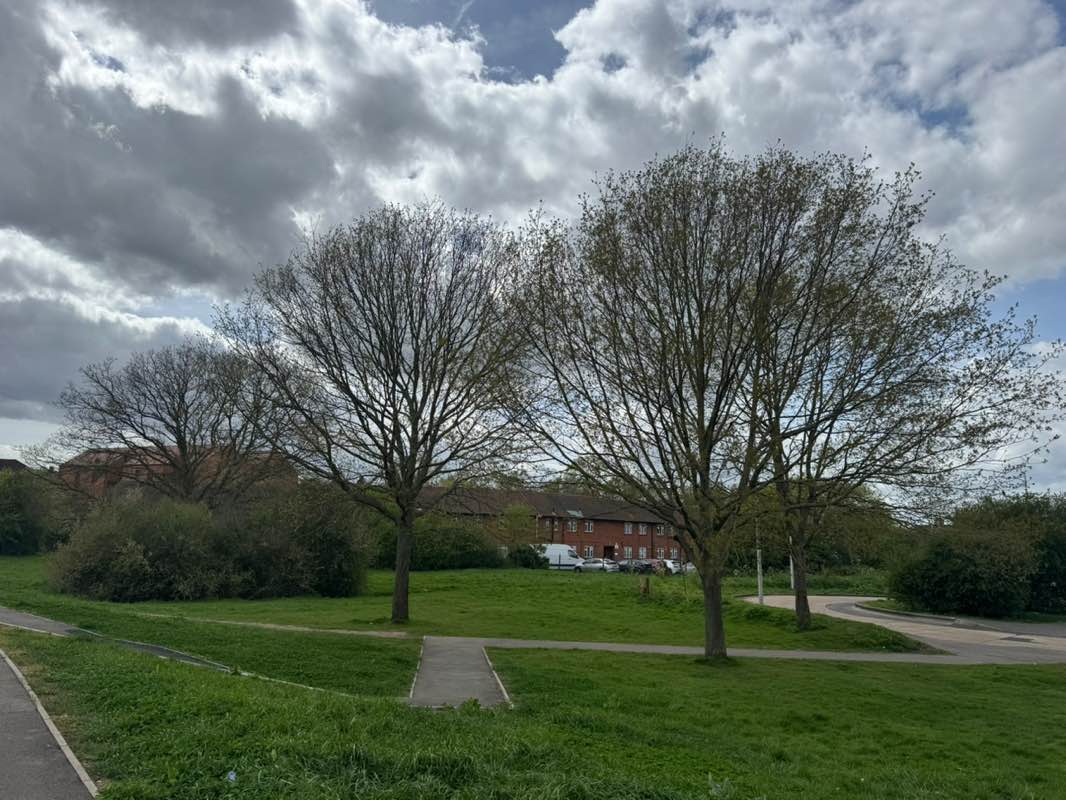 walking near me in Hurstleigh Gardens Open Space in spring