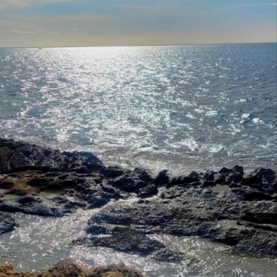 February Group Challenge Alfonso post image