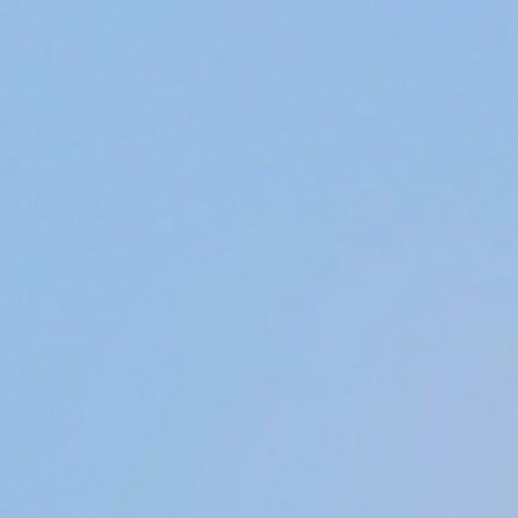 November Group Challenge GamecockRPh (GC) post image