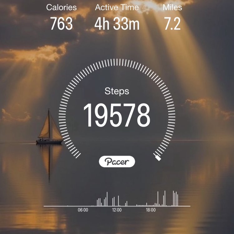 April Steps Challenge GamecockRPh (GC) post image