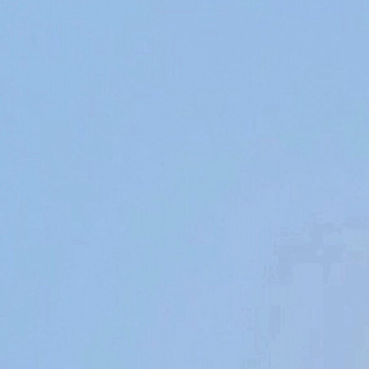 GamecockRPh (GC) post 3