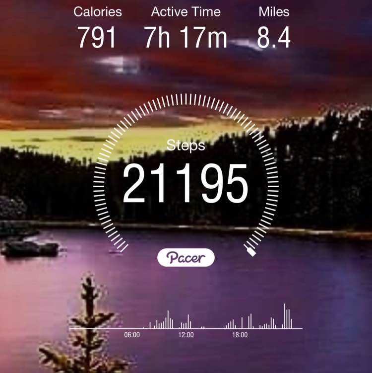 GamecockRPh (GC) post 3