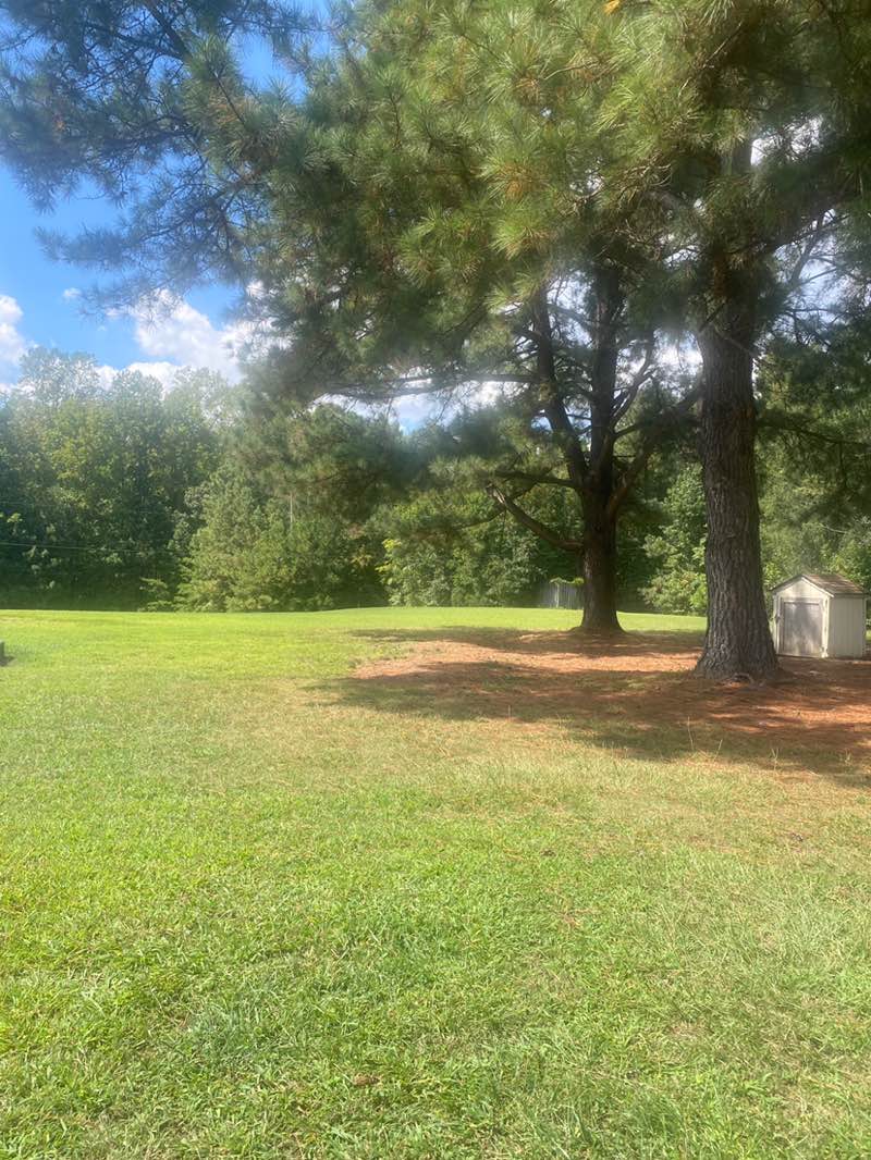 walking near me in Upper Country Park in autumn