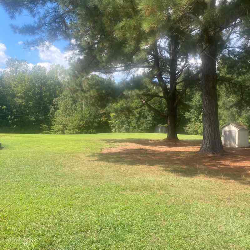 Apollo Popinski post 1