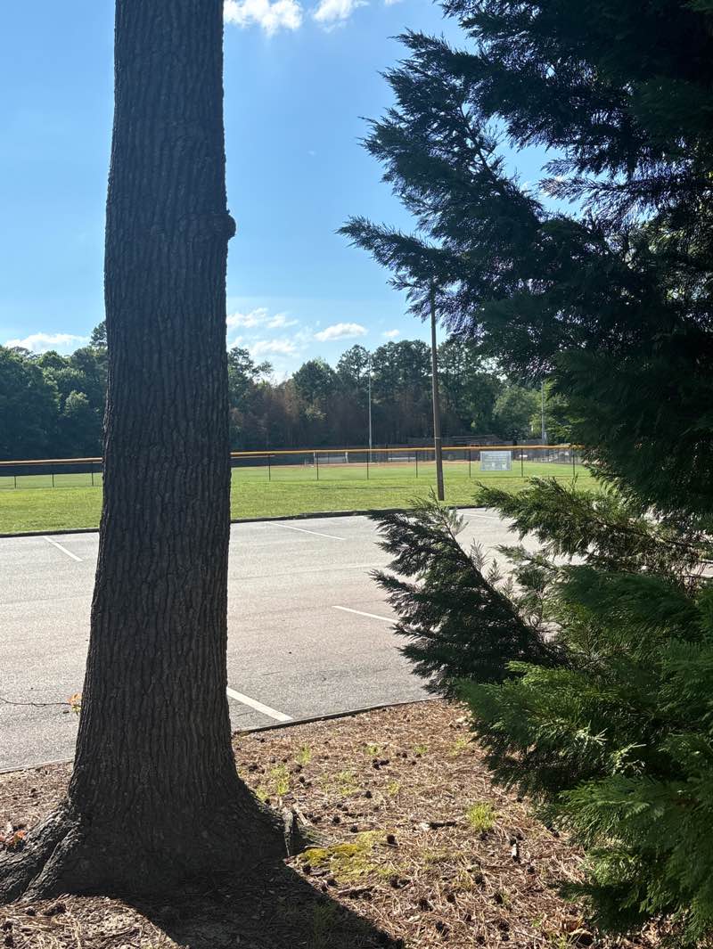 walking near me in Quarterpath Park in summer