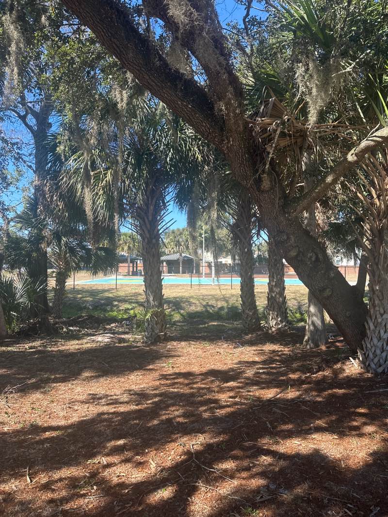 walking near me in Moss Park in winter