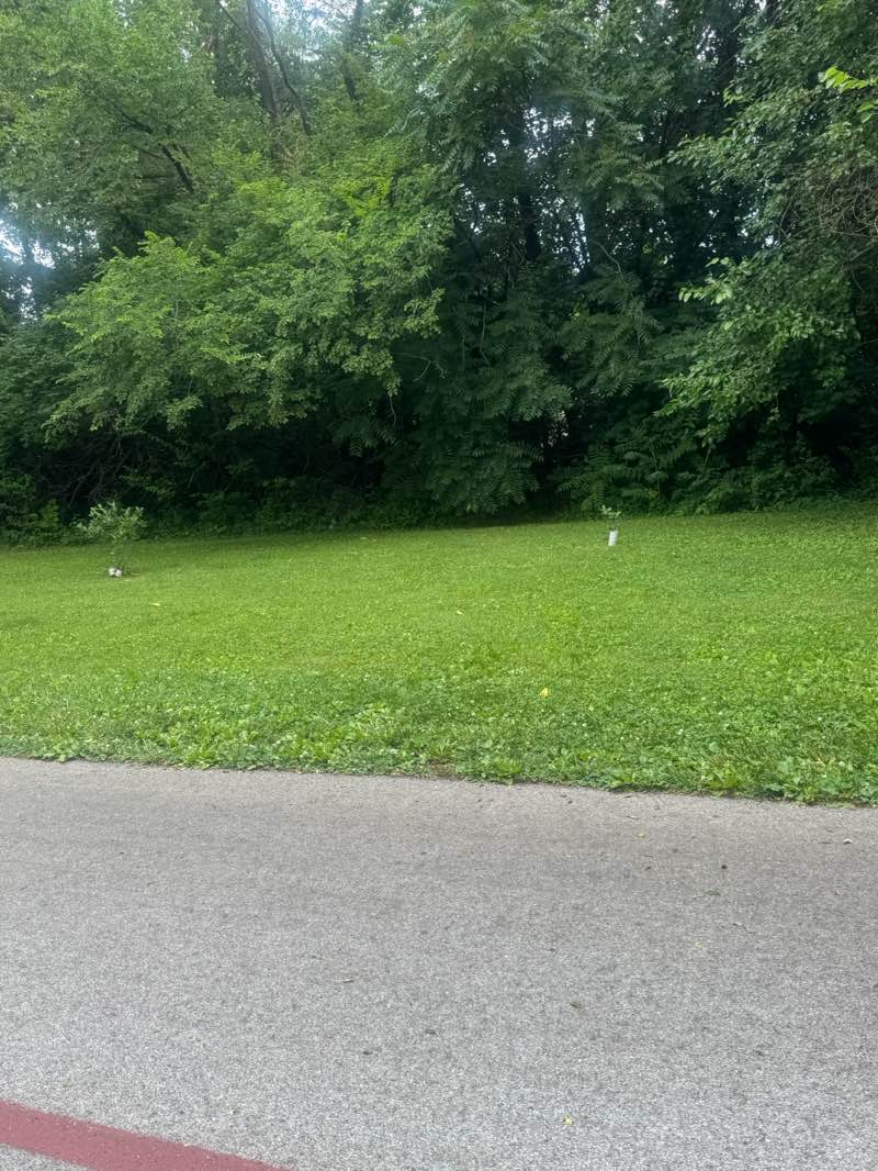 walking near me in Canterbury Park in summer