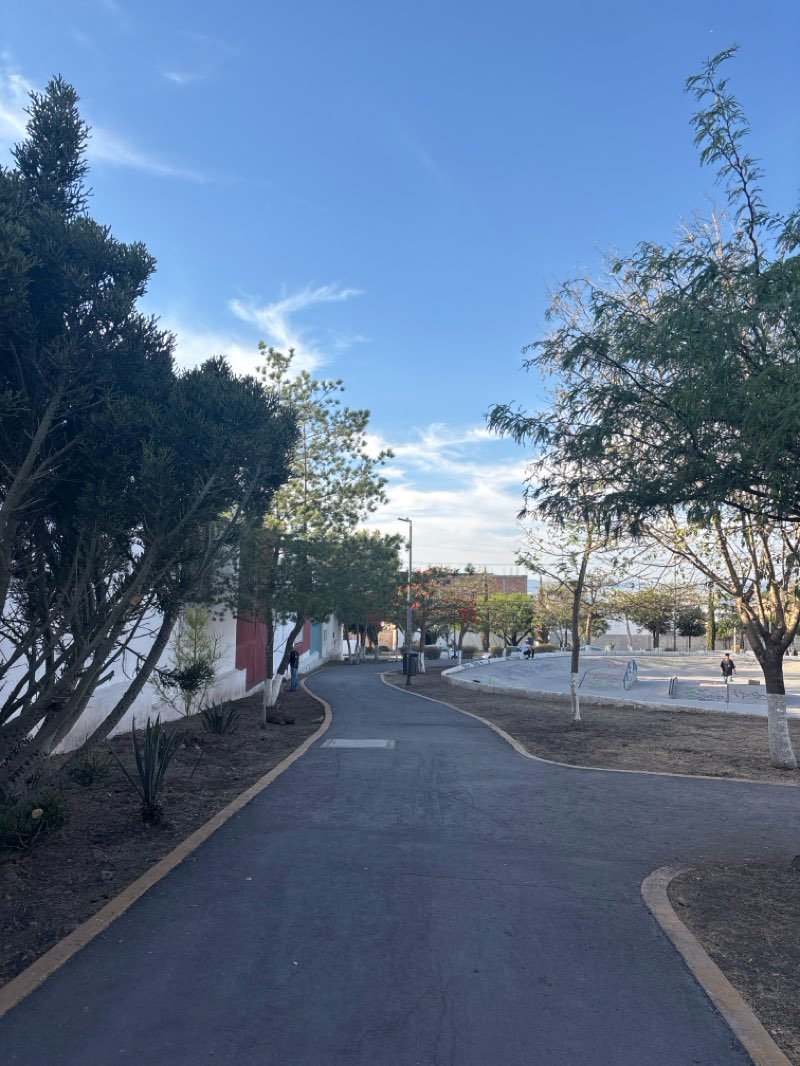 walking near me in Parque de San Carlos in spring