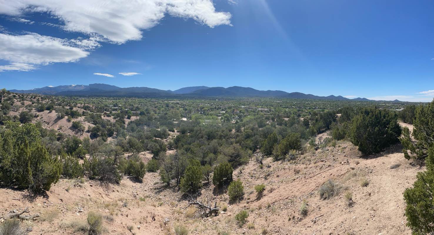 walking near me in Frank S Ortiz Park in spring