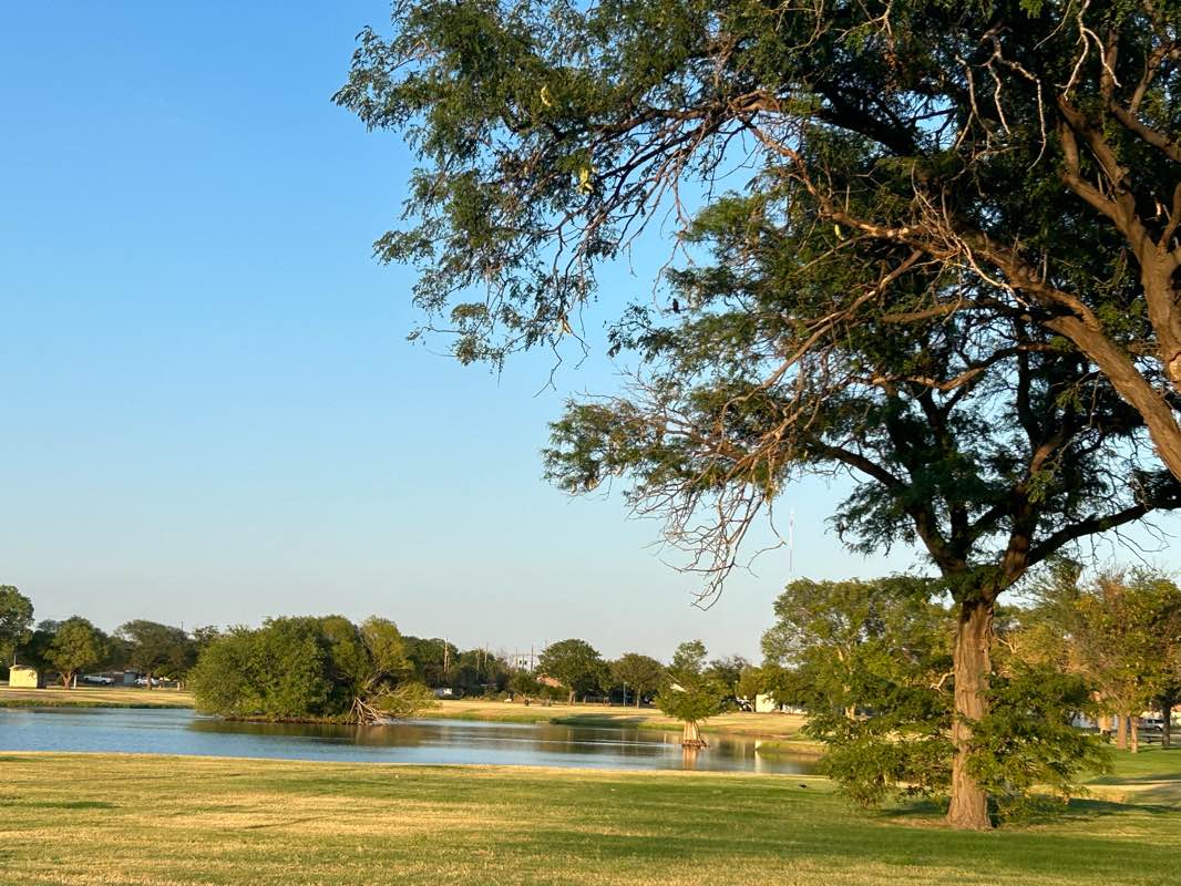 walking near me in Ribble Park in winter
