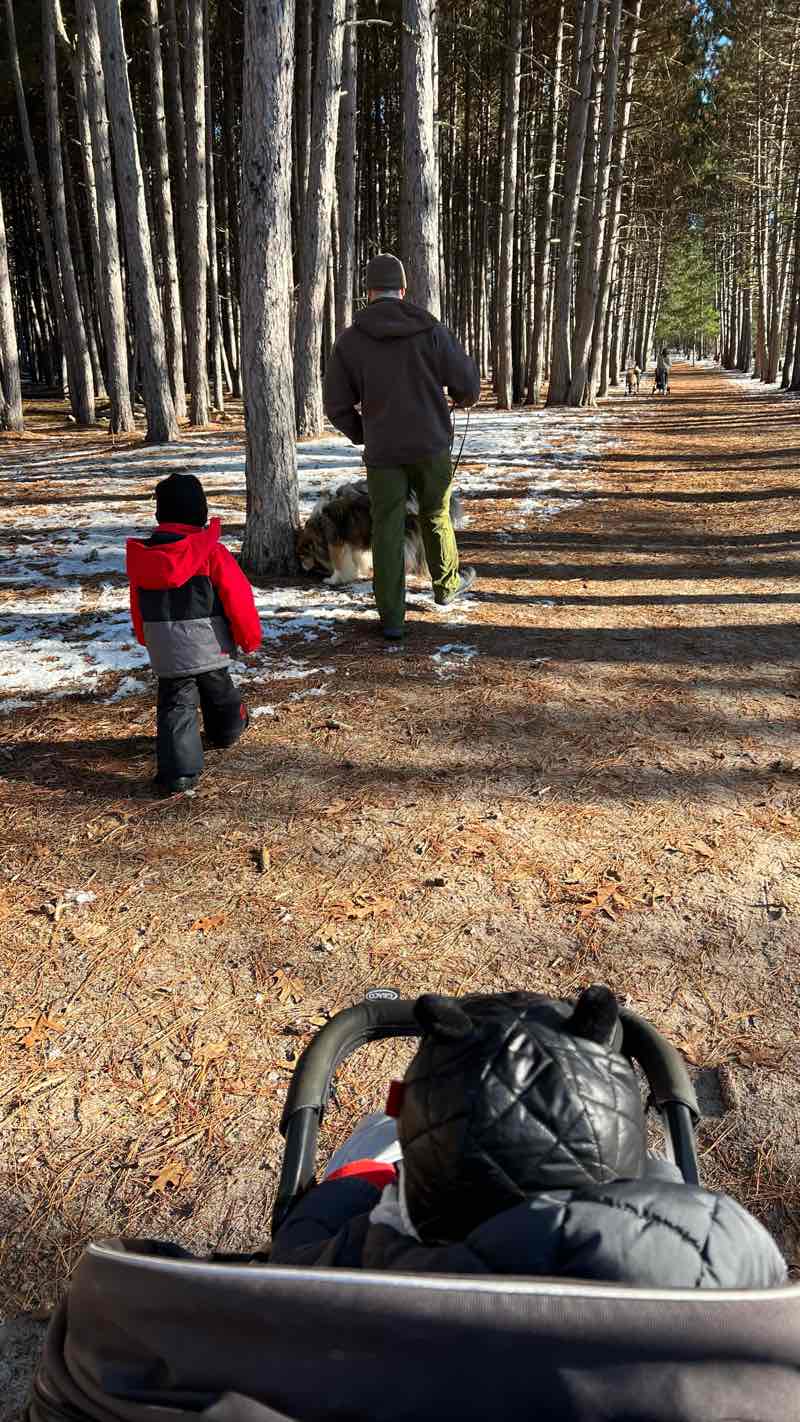 walking near me in Petawawa Terrace Provincial Park in winter