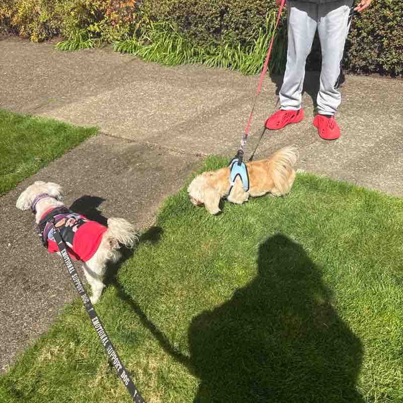 QueenSherri, Prince Eli post 1