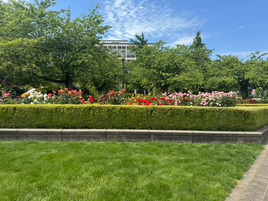 walking near me in State Capitol State Park in summer