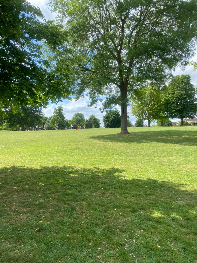 walking near me in Carshalton Park in summer