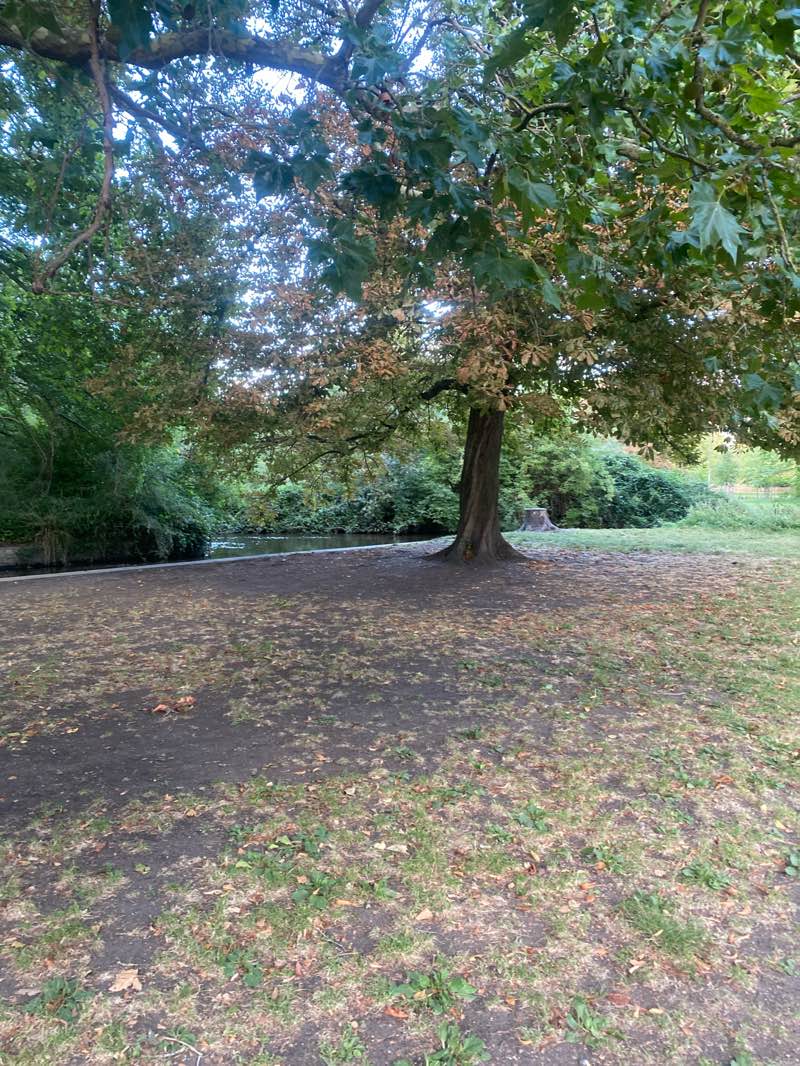 walking near me in Morden Hall Park in autumn