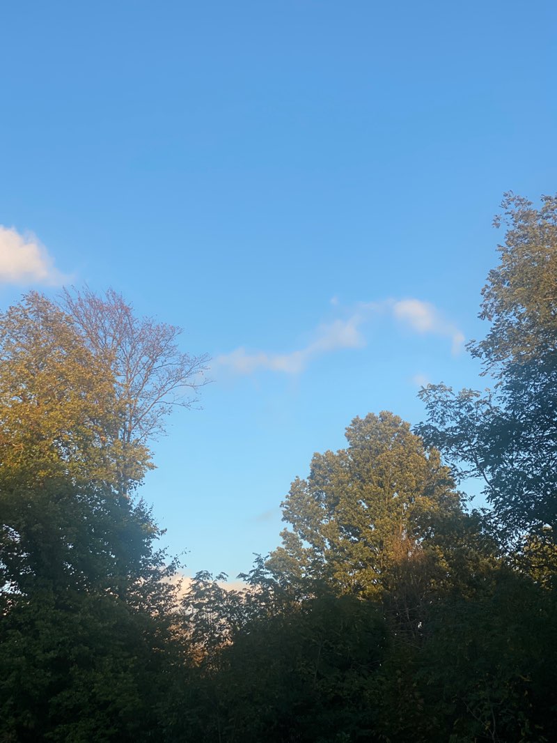 walking near me in Tooting Bec Common in autumn
