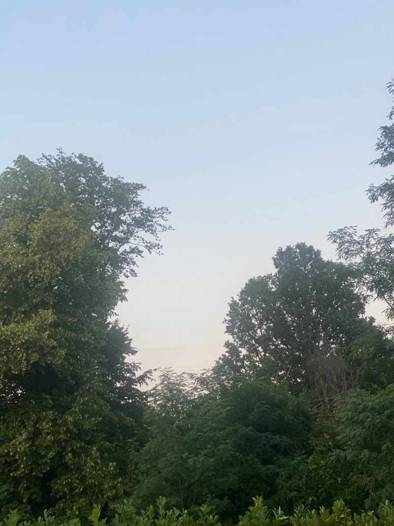 walking near me in Tooting Bec Common in summer