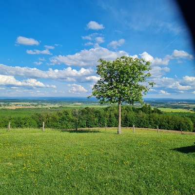 Je Vois la Vie en Vosges Maryse post image