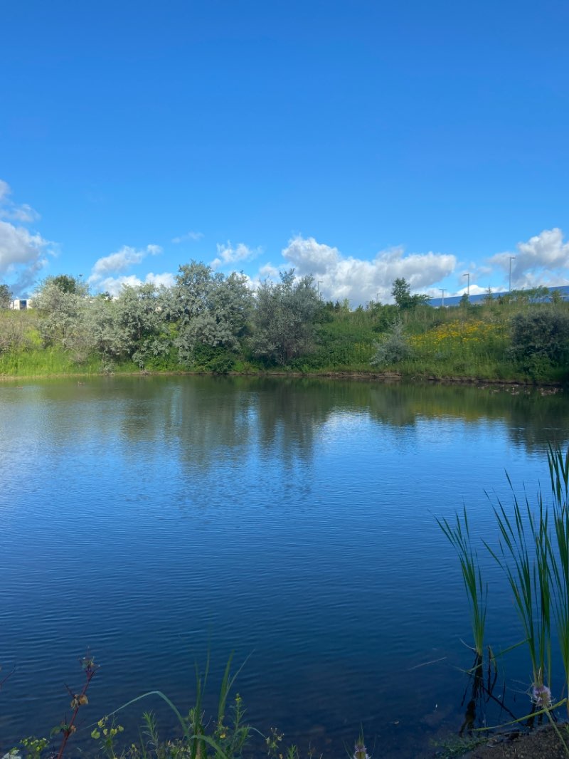 walking near me in Waterloo Park in winter