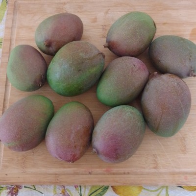 Monster Maniacs Anthony post image