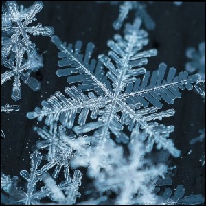 🧥🧣🧤❄️CM❄️🧤🧣🧥 profile