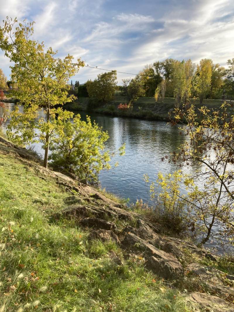 walking near me in Parc public de Robinson in winter