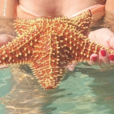 CAMELOT 🏰 antonella-barto post image