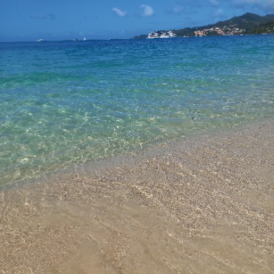 CAMELOT 🏰 antonella-barto post image