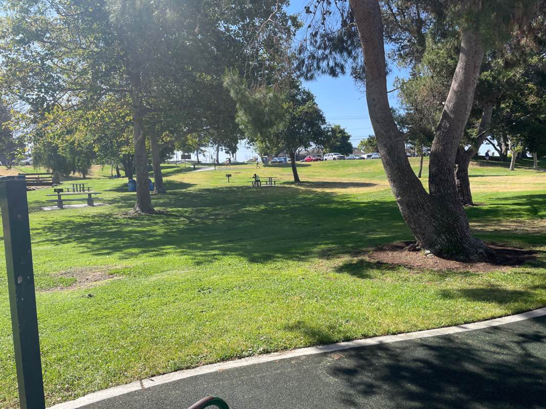 walking near me in Delthorne Park in summer