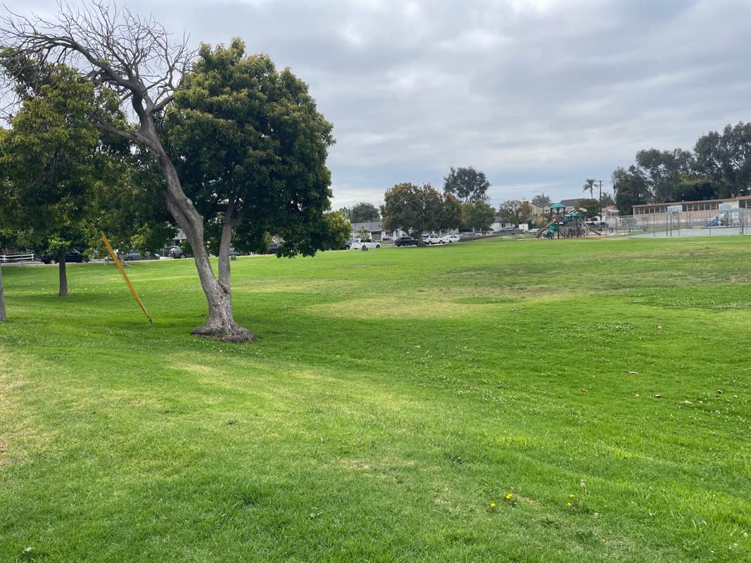 walking near me in Greenwood Park in summer