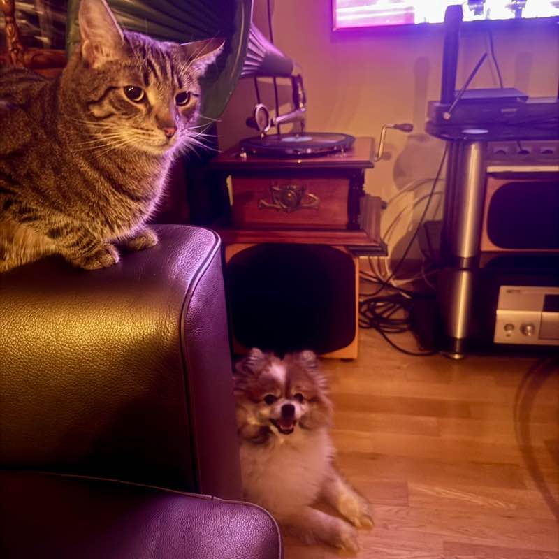 📕Елена📕 post 2