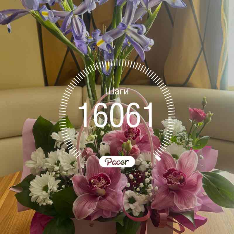 📕Елена📕 post 1