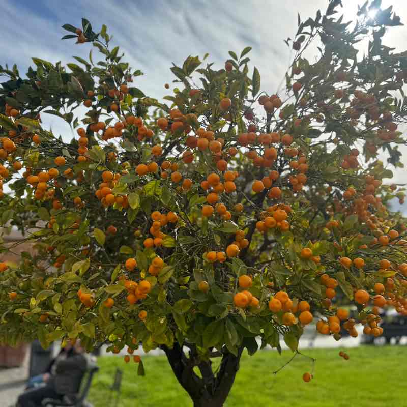 📕Елена📕 post 3