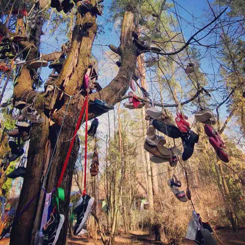 📕Елена📕 post 2