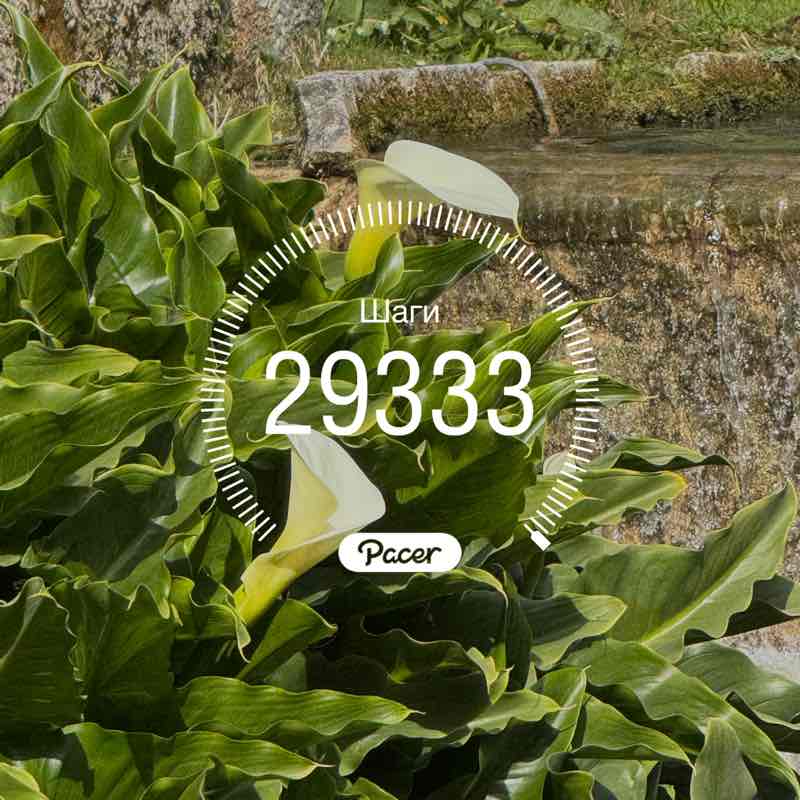 📕Елена📕 post 1