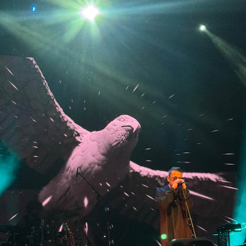 📕Елена📕 post 3