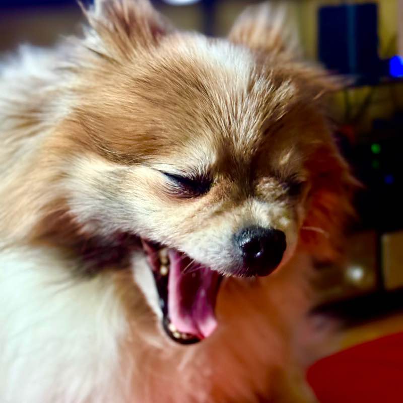 📕Елена📕 post 2