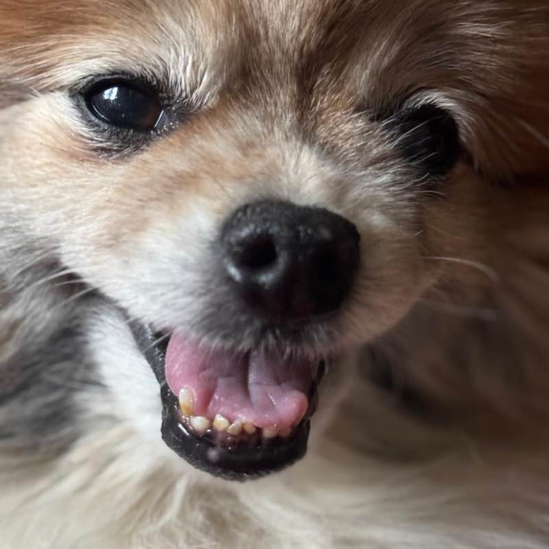 📕Елена📕 post 3