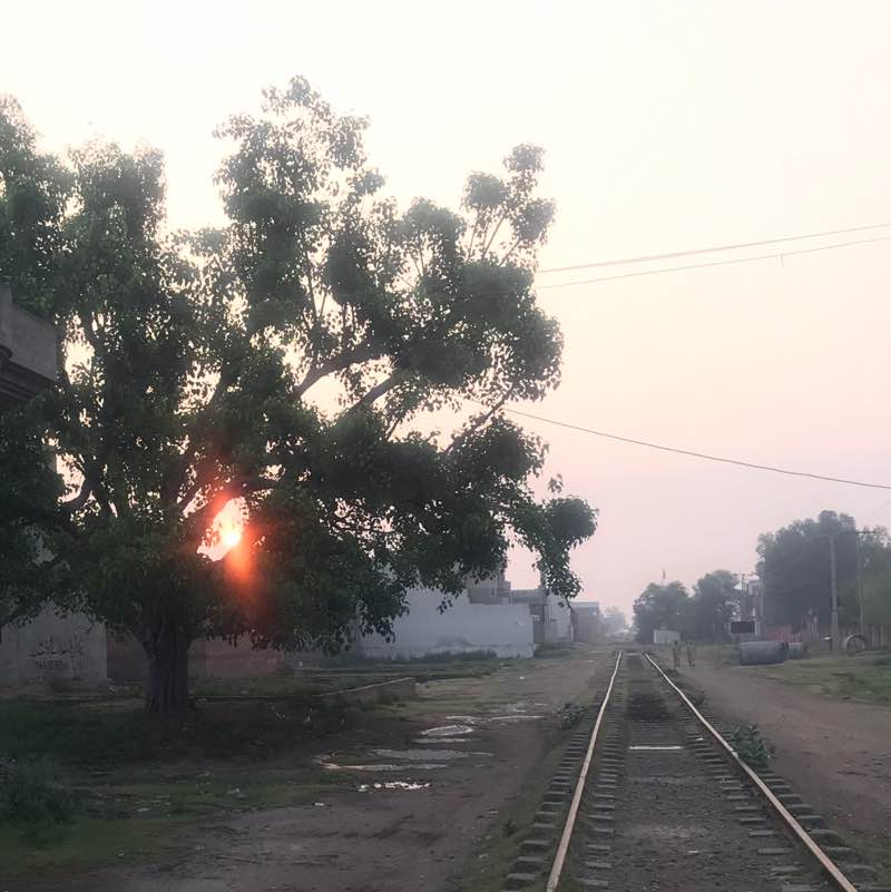 Happy Feet Rao Zafar 🇵🇸 post image