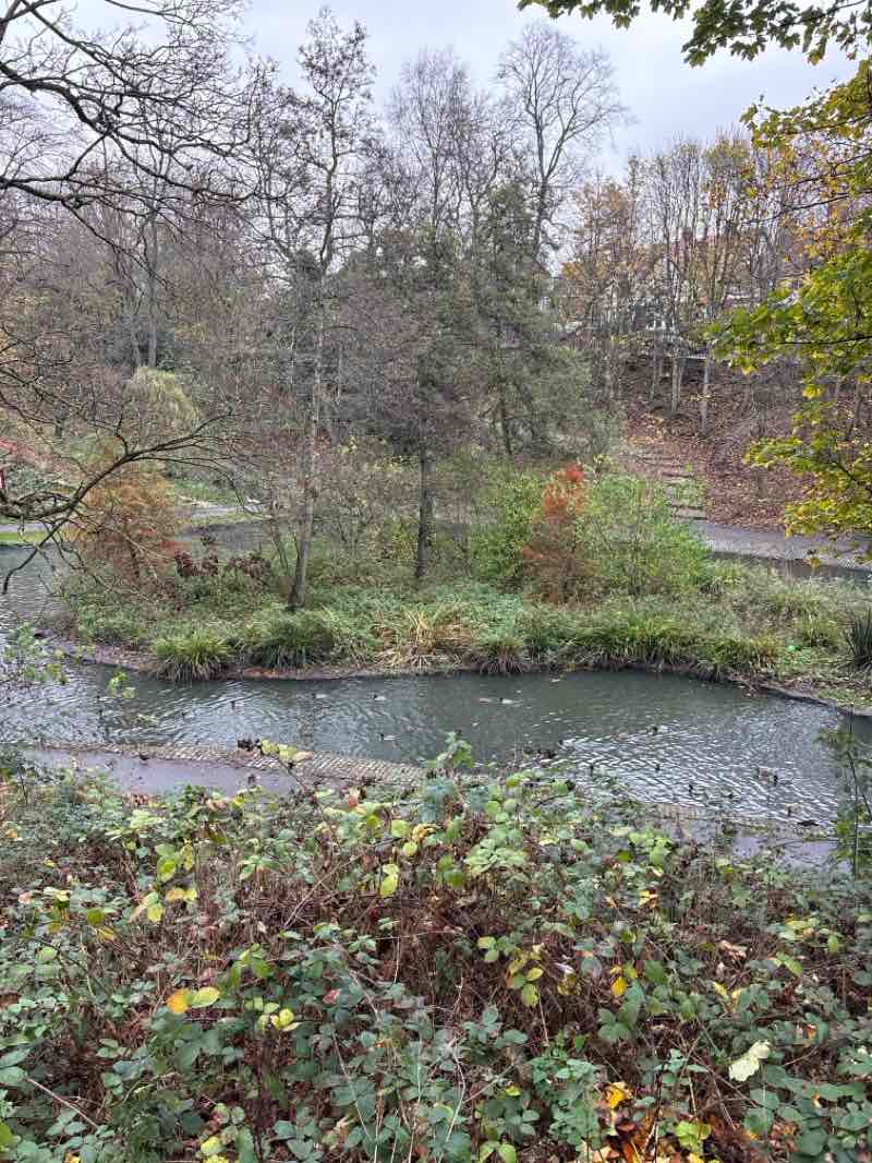 walking near me in Richardson Dees in autumn