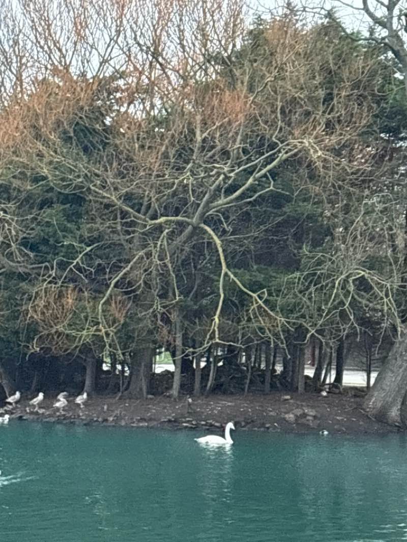 walking near me in Bents Park in winter