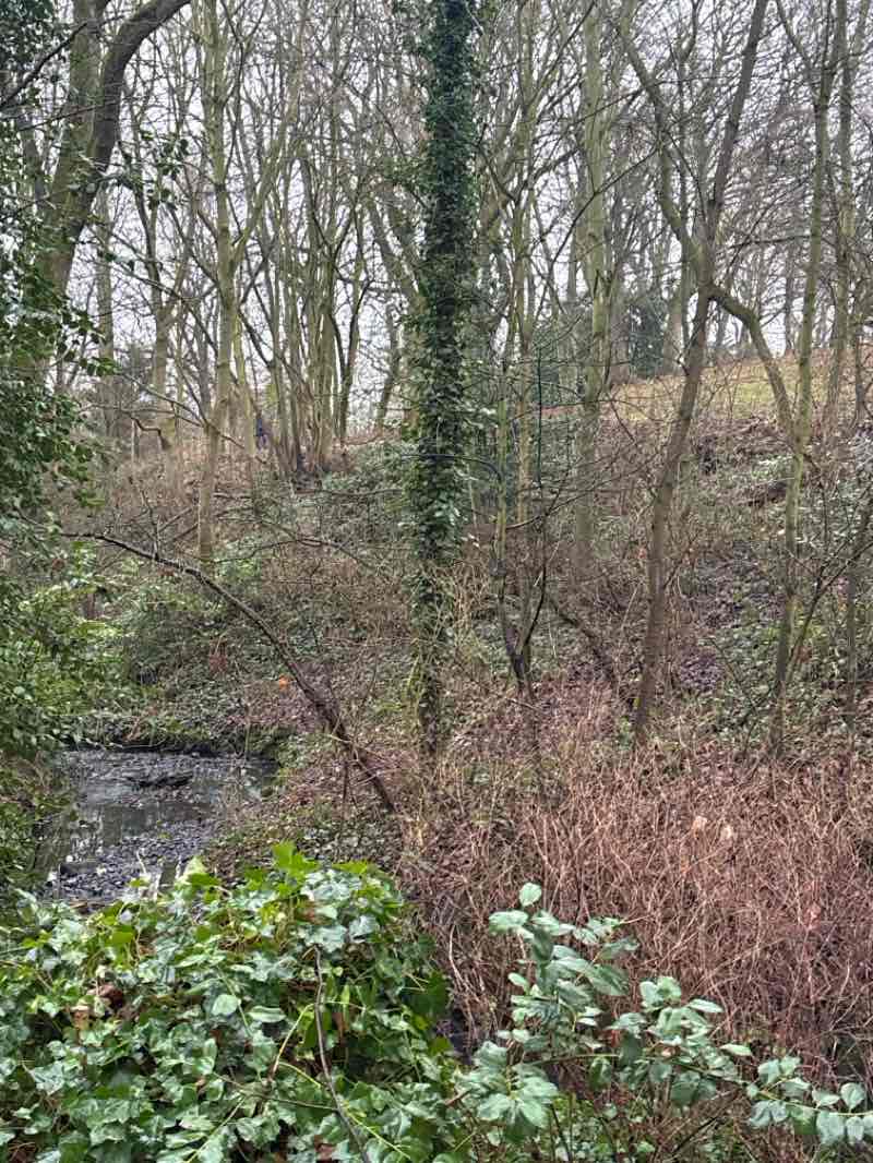 walking near me in Richardson Dees in winter