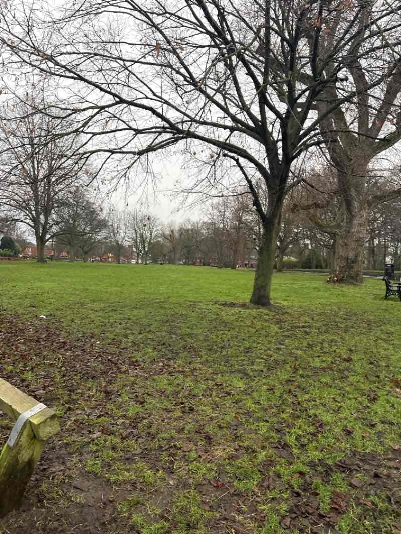 walking near me in Hall Grounds in winter