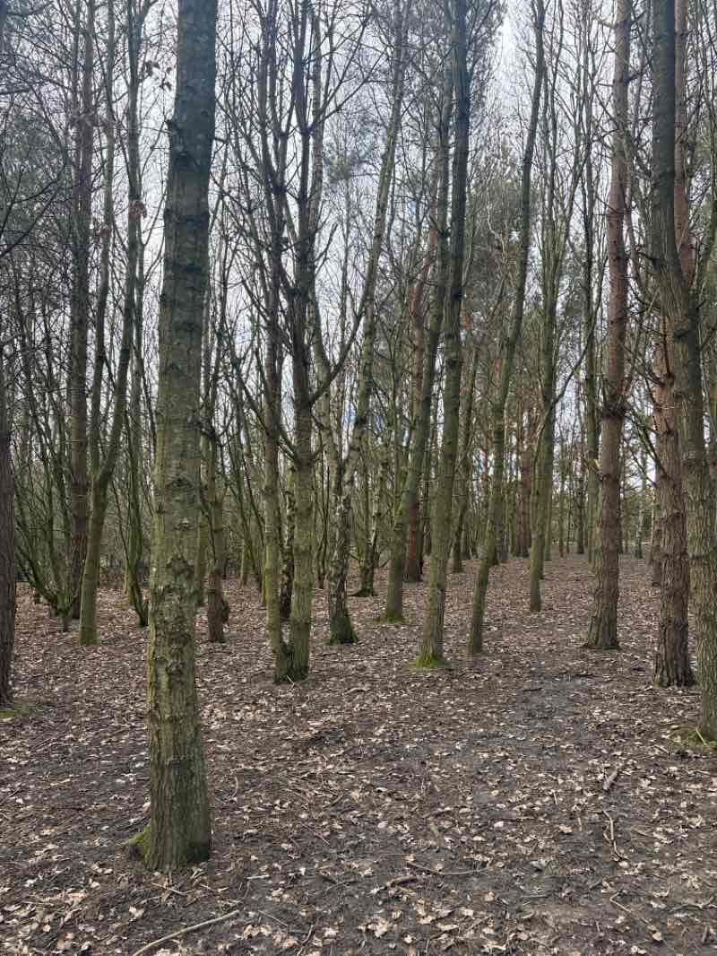 walking near me in Rising Sun Country Park in winter