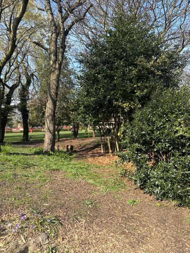 walking near me in Richardson Dees in spring