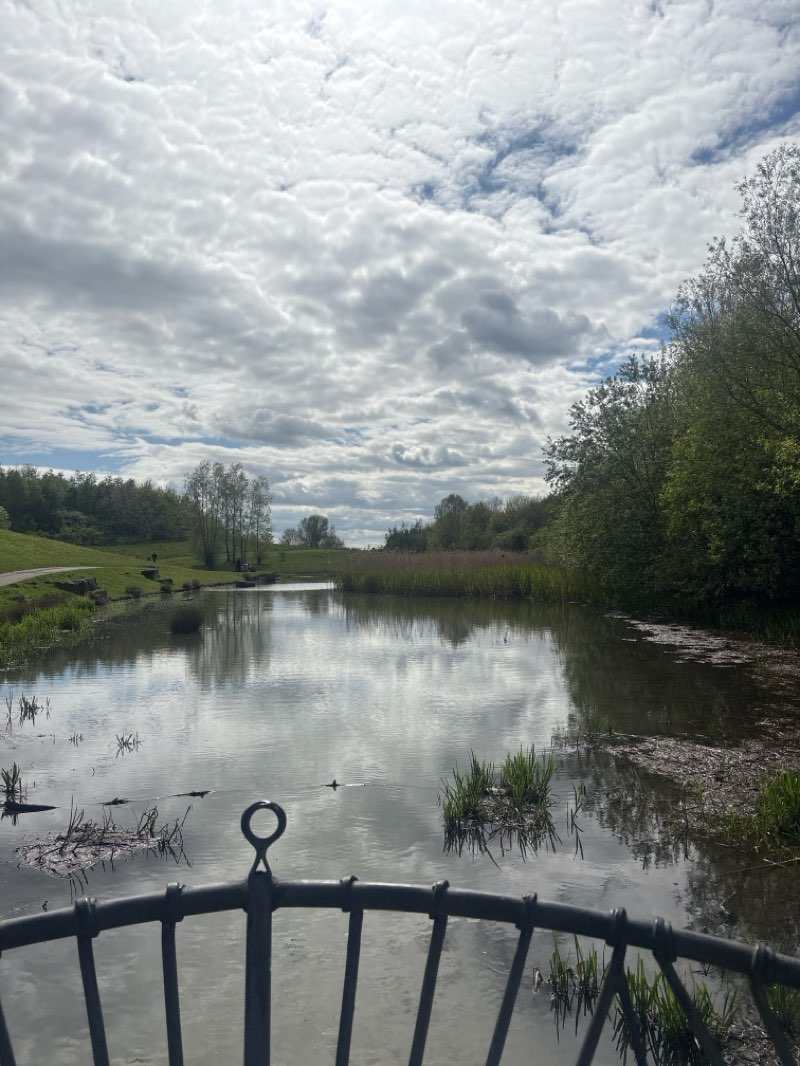 walking near me in Herrington Country Park in spring